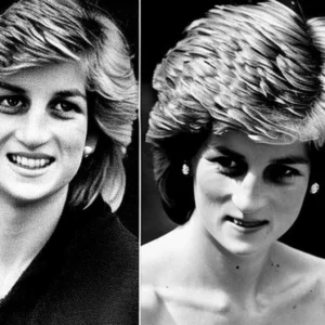 Artistic representation for Earl Charles Spencer pays tribute to late sister Princess Diana with rare photos
