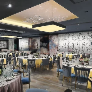 Artistic representation for SALA Introduces Versatile New Event Space The Hill