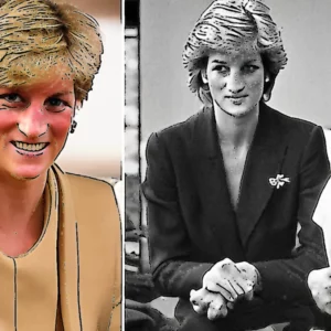 Artistic representation for Prince Harry special never - before - seen tribute to late mum Princess Diana in Montecito family home revealed - details