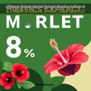 Artistic representation for Hibiscus Extract Market through Service to Soar at a CAGR of over 8 3 from 2022 to 2032