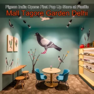 Artistic representation for Pigeon India Opens First Pop Up Store at Pacific Mall Tagore Garden Delhi