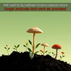Artistic representation for Soil health is big business but some research shows fungal products dont work as promised