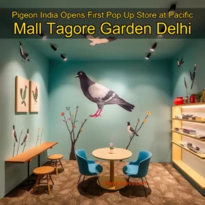 Artistic representation for Pigeon India Opens First Pop Up Store at Pacific Mall Tagore Garden Delhi