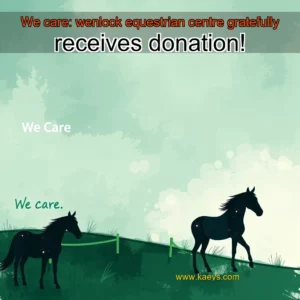 Artistic representation for We care: wenlock equestrian centre gratefully receives donation!