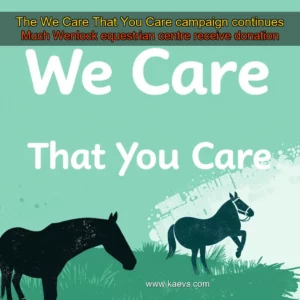 Artistic representation for The We Care That You Care campaign continues Much Wenlock equestrian centre receive donation
