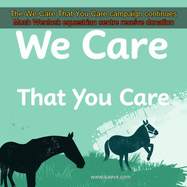 Artistic representation for The We Care That You Care campaign continues Much Wenlock equestrian centre receive donation